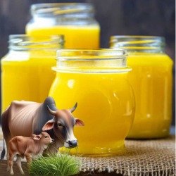 Gir Cow Ghee